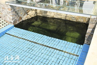 天津?qū)氎鎱^(qū)第一污水處理廠 MBR膜工藝驅(qū)動(dòng)提標(biāo)擴(kuò)建，構(gòu)筑土壤污染治理新防線