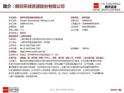 鵬欣資源2013年報企業排名及薪酬報告(石油化學制品業資產負債表)鵬欣環球資源股份_九舍會智庫